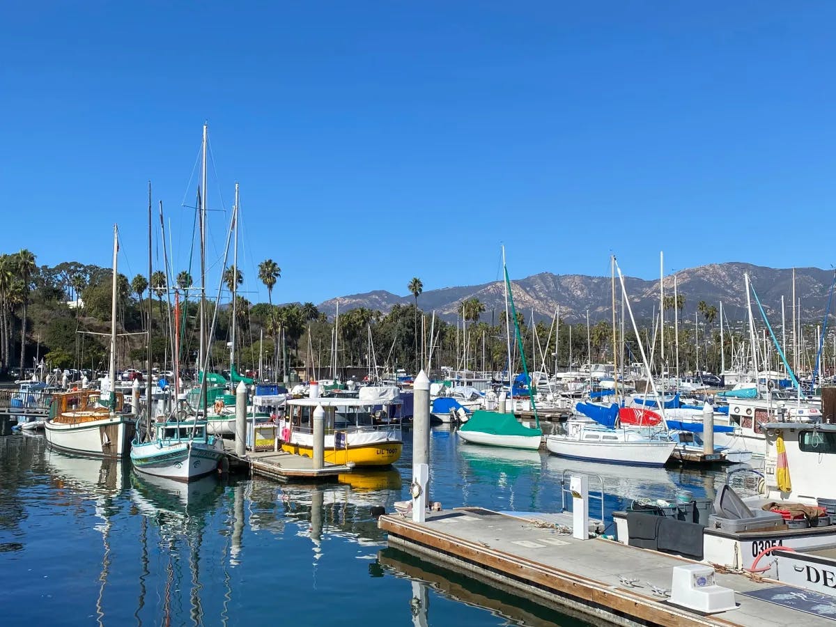 A boat harbor during the daytime