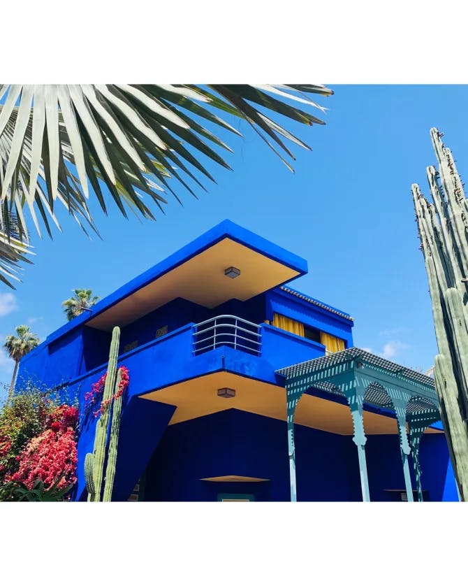 A beautiful view of Jardin Majorelle