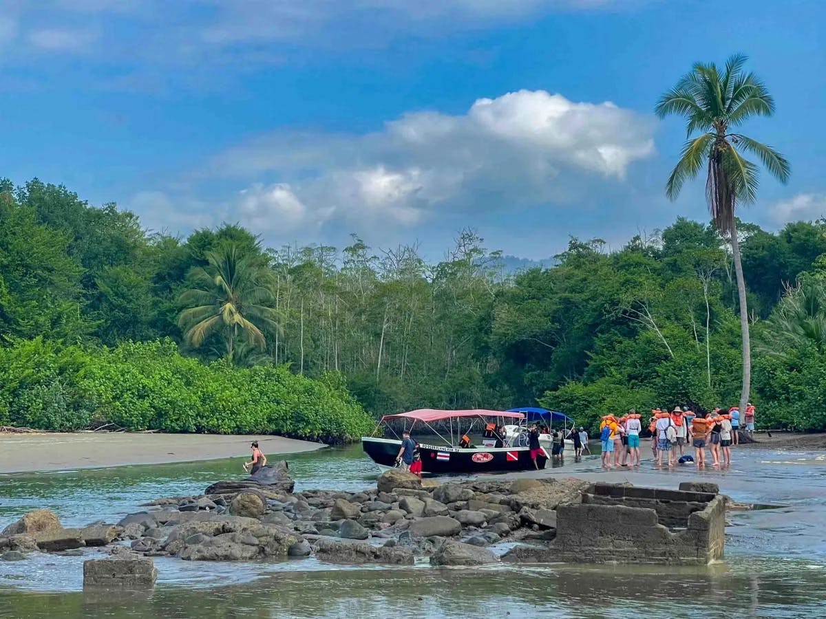 Tourists in life jackets disembark from a boat onto a serene tropical beach lined with palm trees.