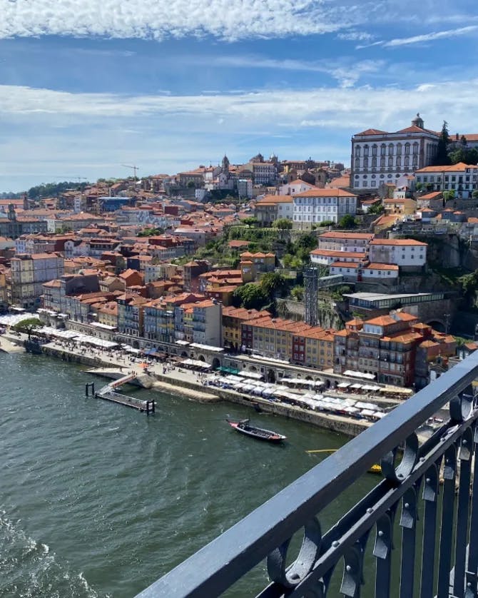 Travel Advisor on a bridge overlooking city and water body. 