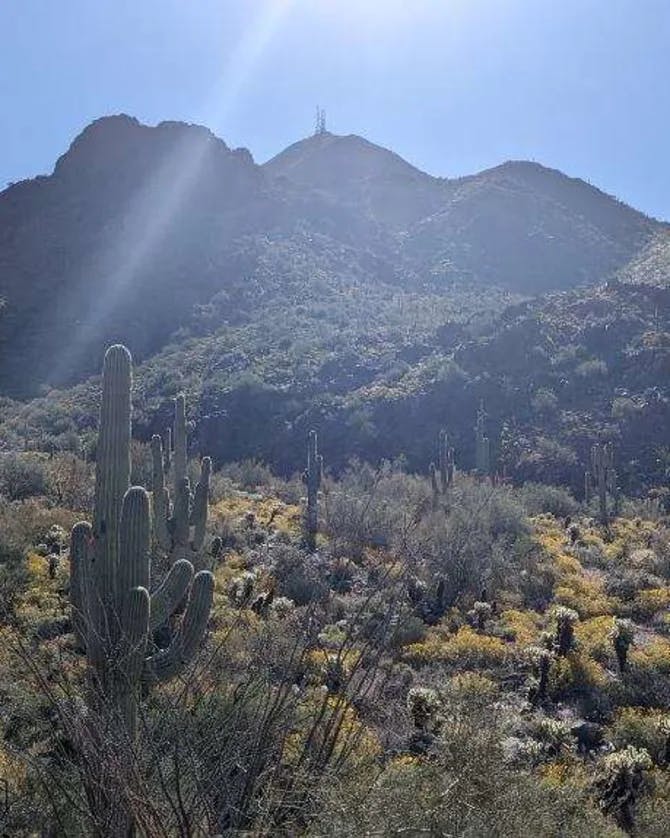 View of a valley