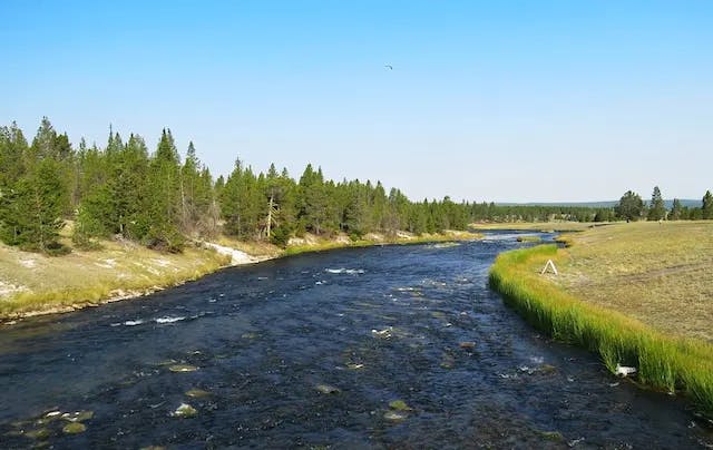 green grass field near body of water under blue sky during daytime