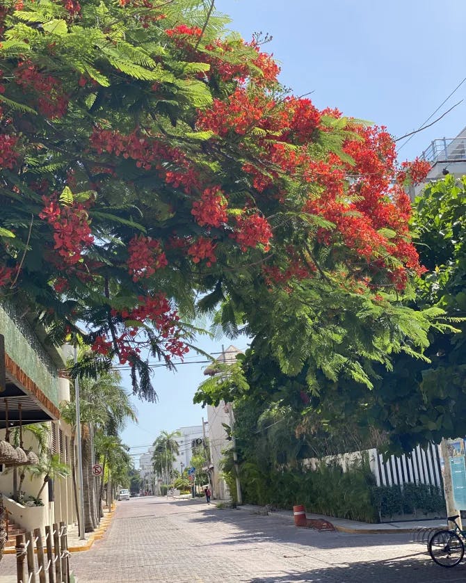 View of street