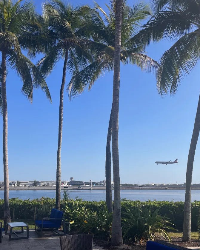 Plane landing on an airport by the coast