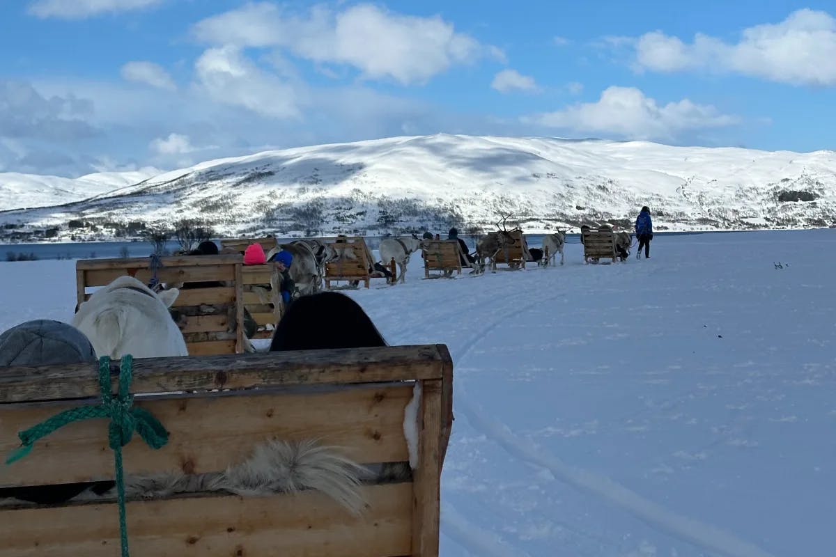 Have a tour and experience a reindeer sleigh ride. 