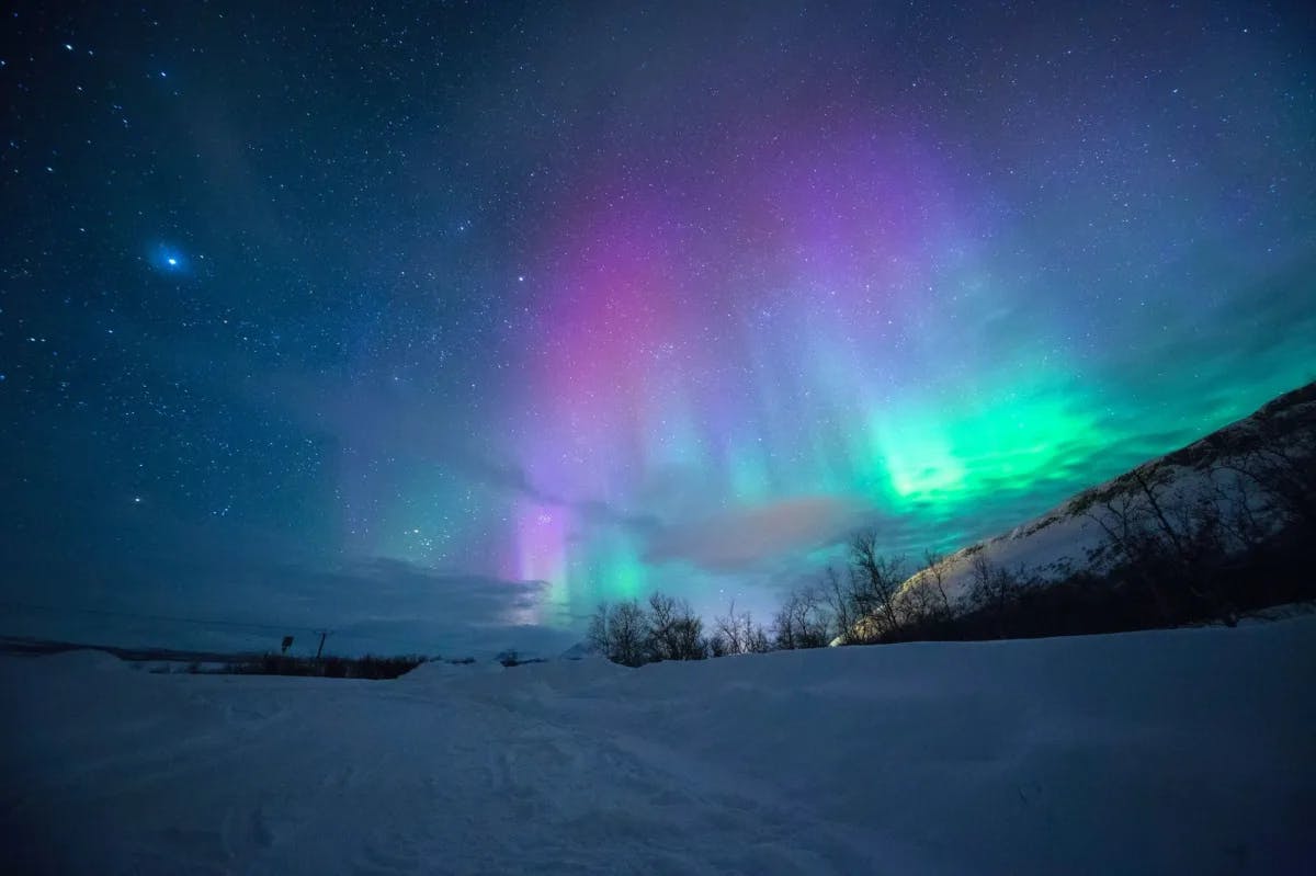 A display of multi colored lights on the sky during night.  