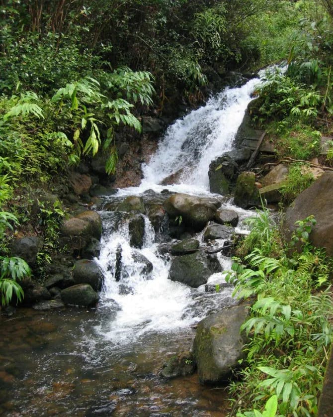 View of a waterfall