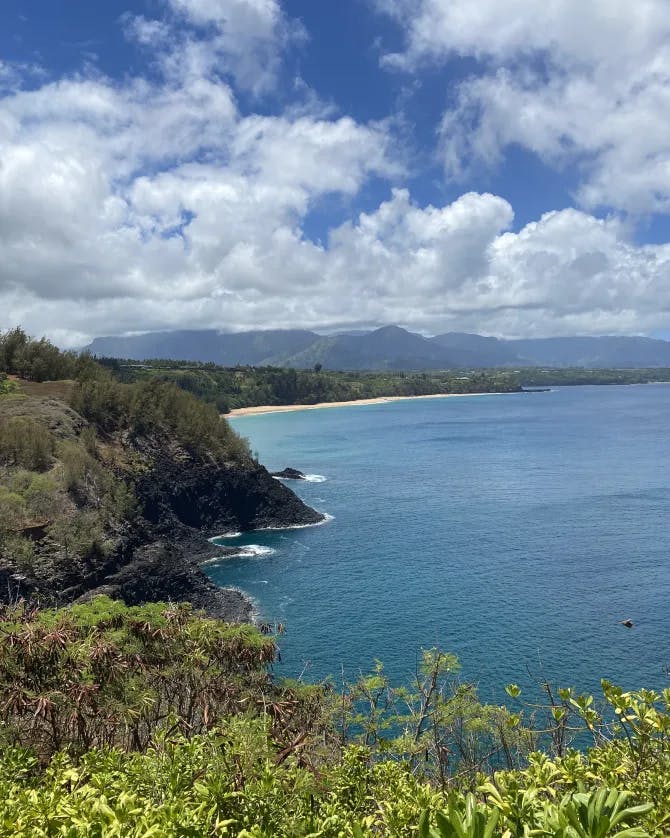 Aerial view of a gorgeous coastline of green cliffs and a secluded beach seen in the distance