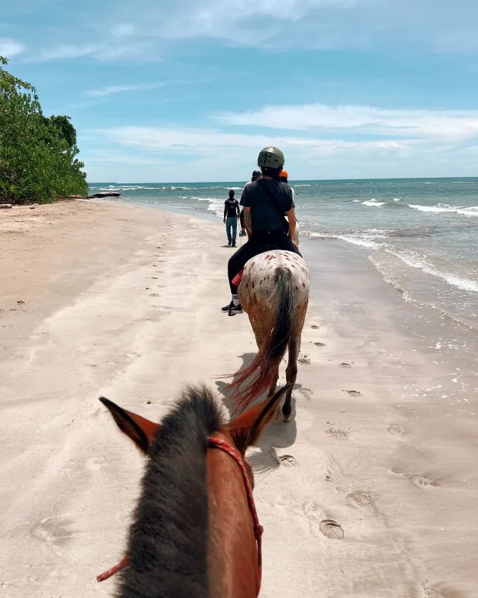 Horseback riding on the beach shoreline.