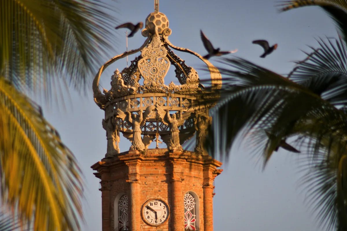 A brown and black tower near palm trees during daytime.