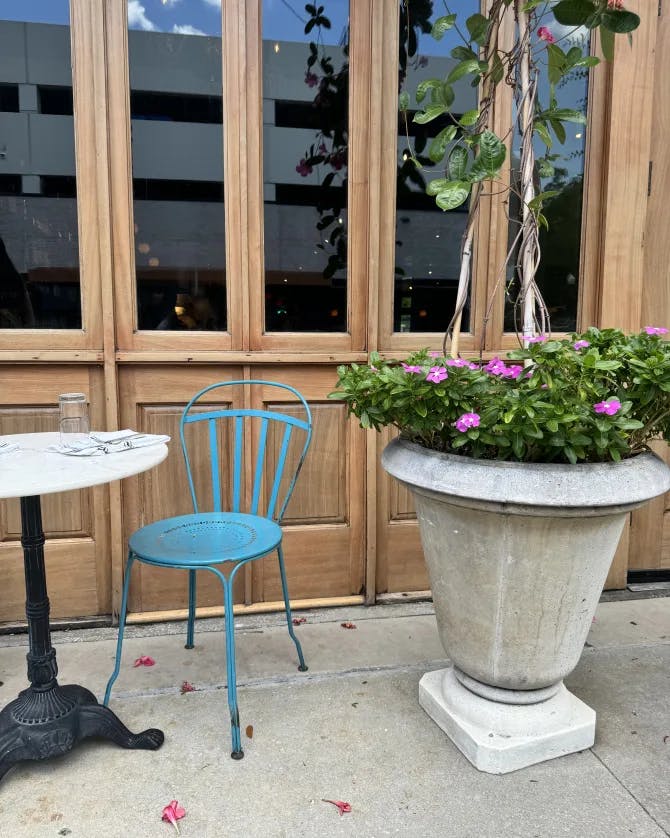 An outdoor table with a blue chair and a beautiful potted plant. 