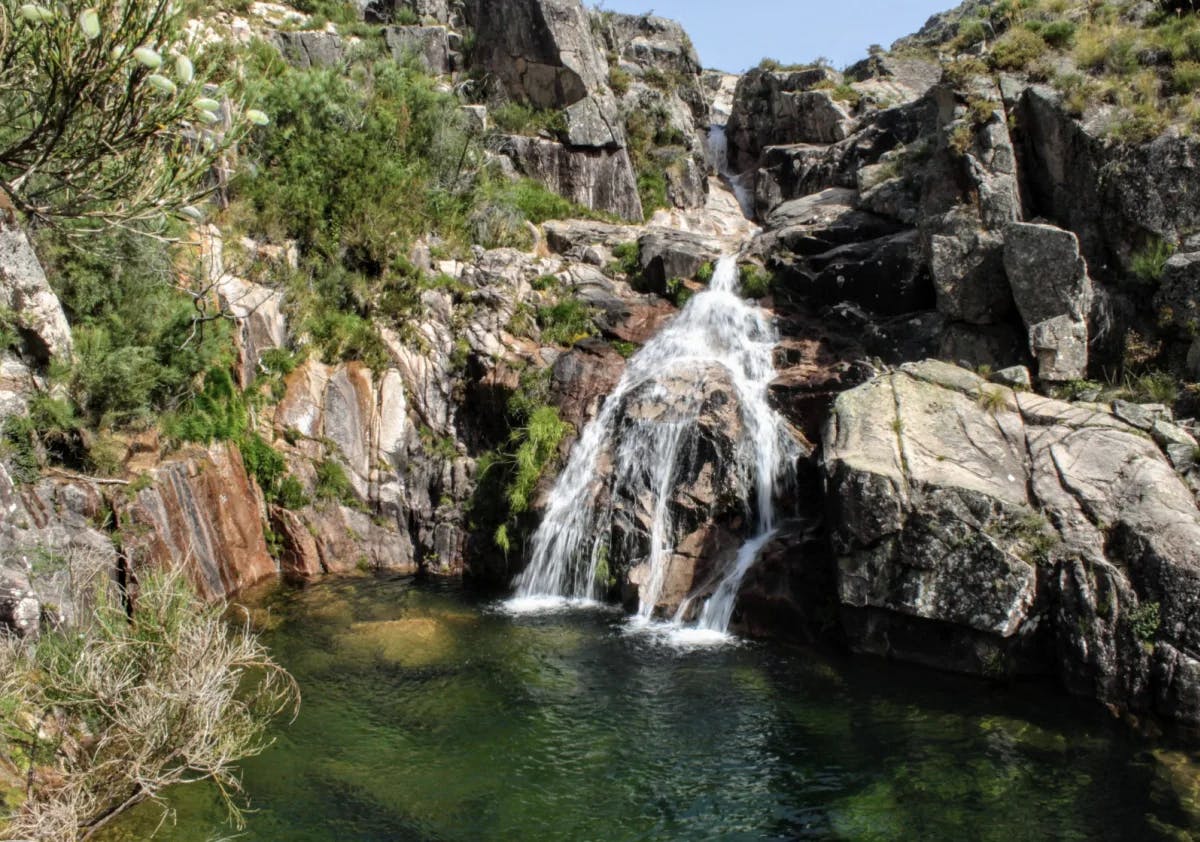 A waterfall cascading down rocky terrain into a green pool of clear water with trees in the surrounding areas. 