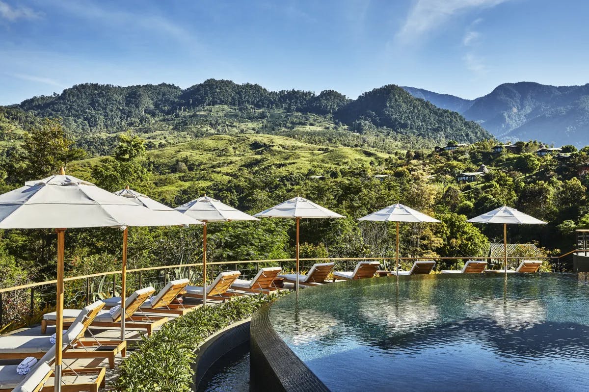 an infinity-edged pool on the side of a jungly mountain