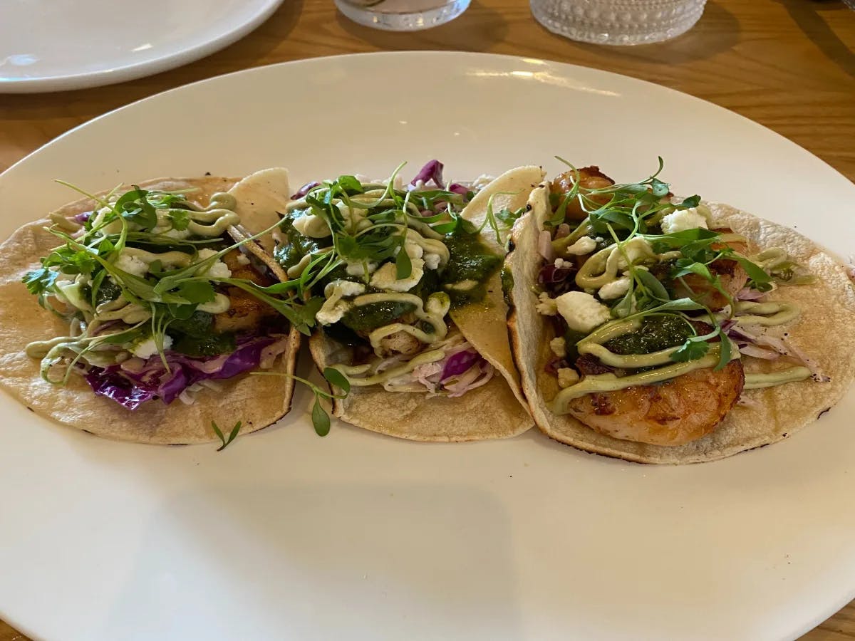 Three tacos served on a white plate