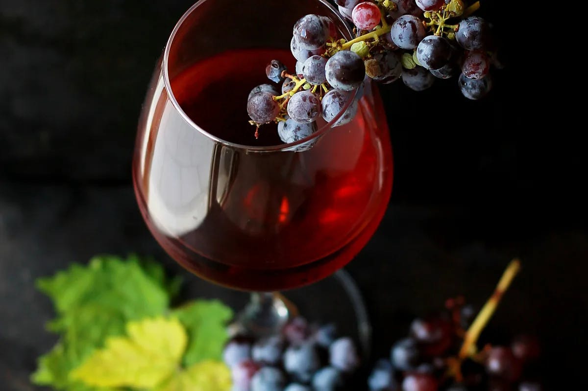 A tempting glass of red wine with a string of red grapes dangling over the rim of the glass.