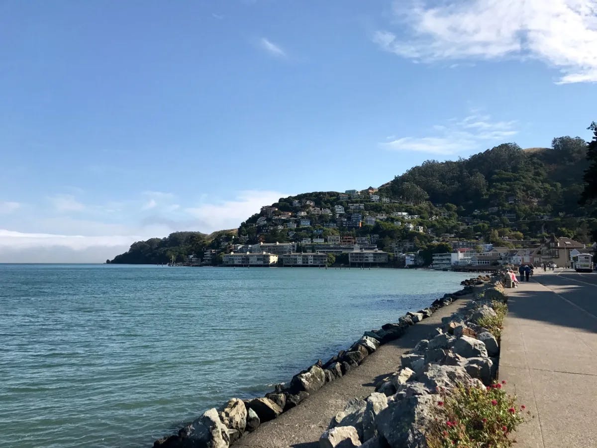 An ocean with a houses on a hill. 