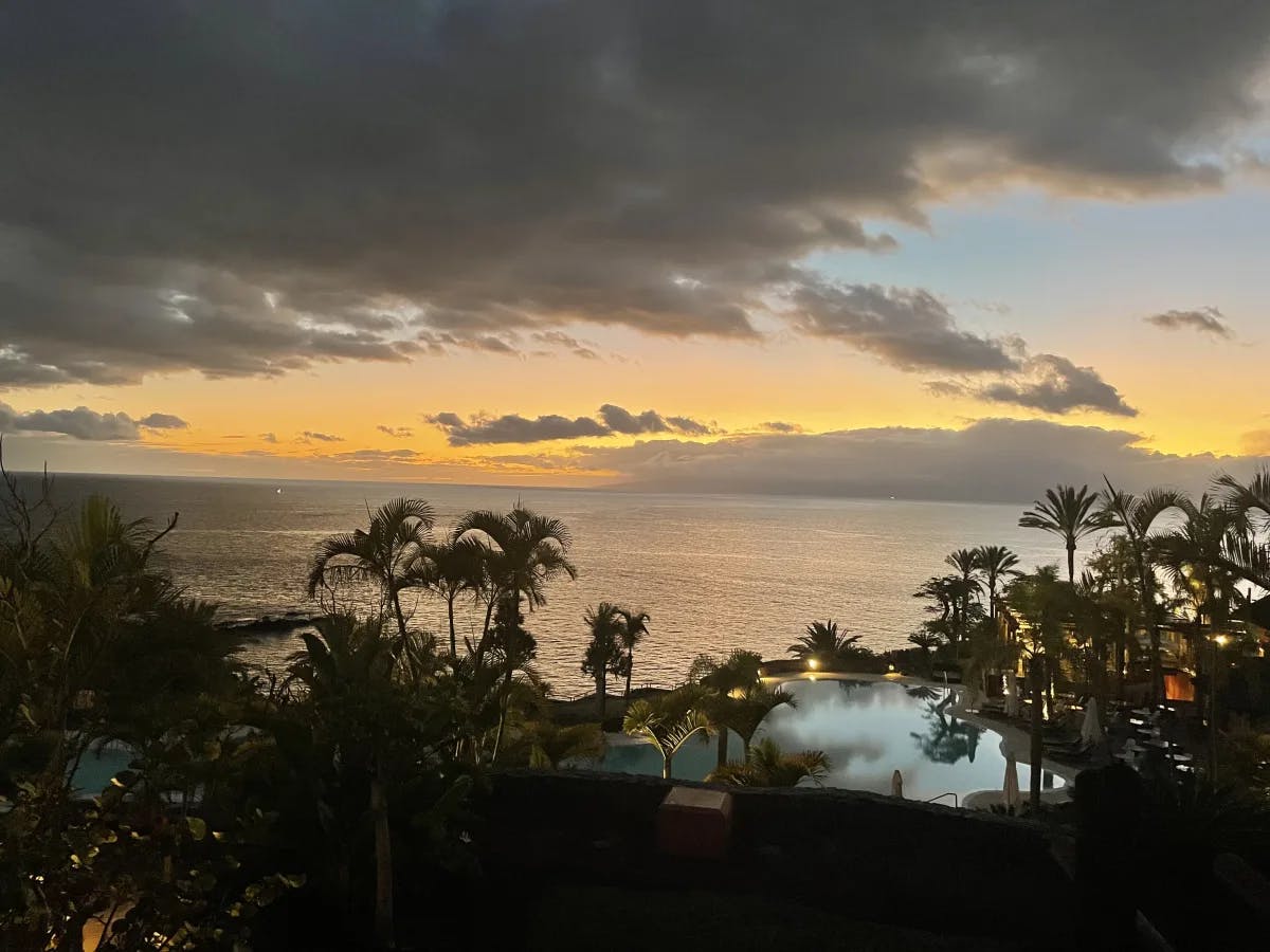 A beautiful view of palm trees, a swimming pool and the sea in the distance under a cloudy, yellow sunset. 