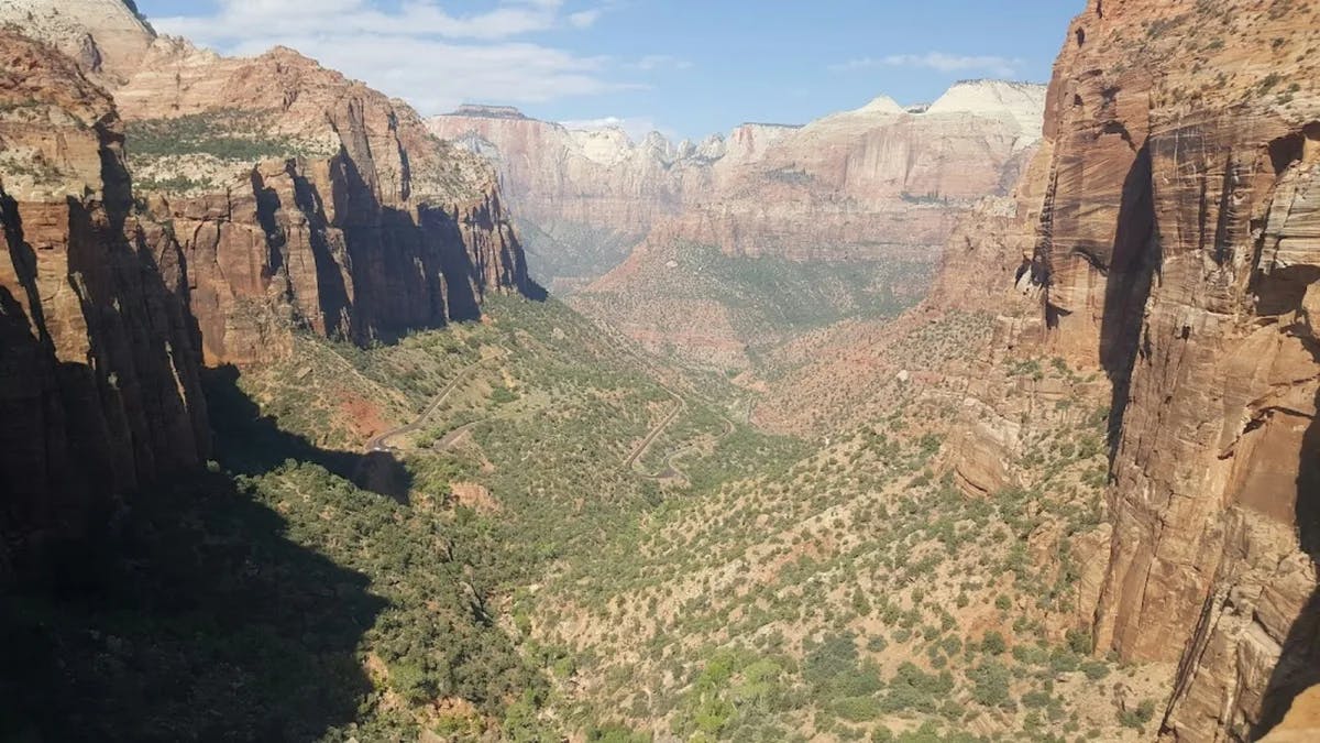 Looking down into the canyon at green plants and cliffs in the distance during the day.