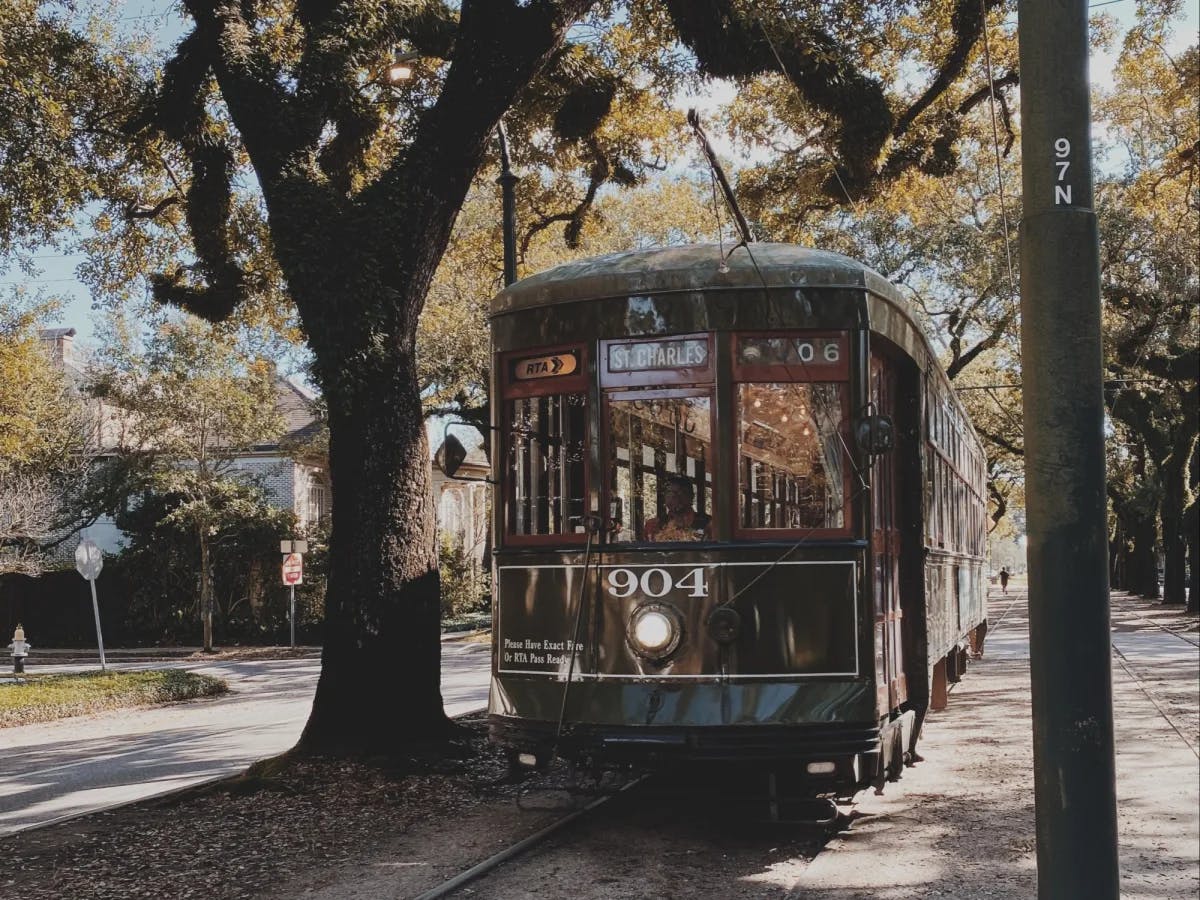 Train crossing between trees.