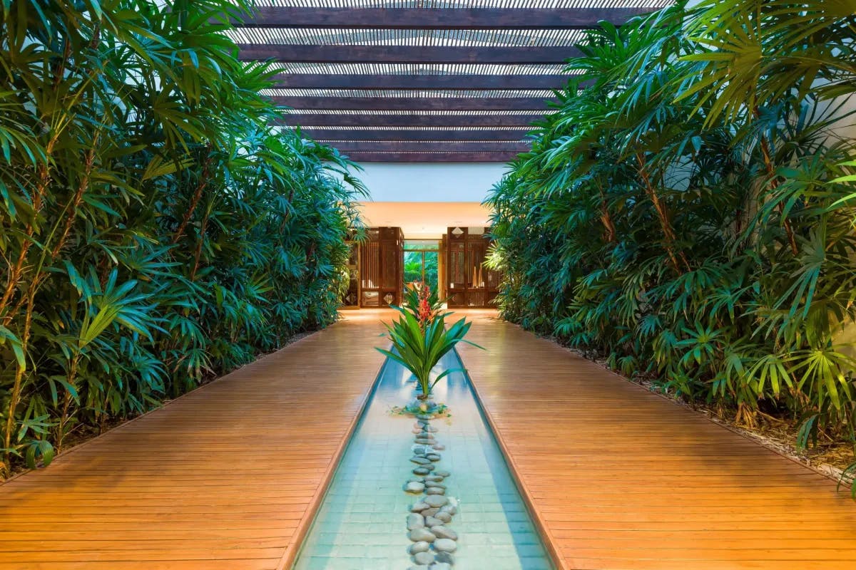 A narrow pond with plants divides a walkway lined with tropical hedges, all of which is shaded by an awning