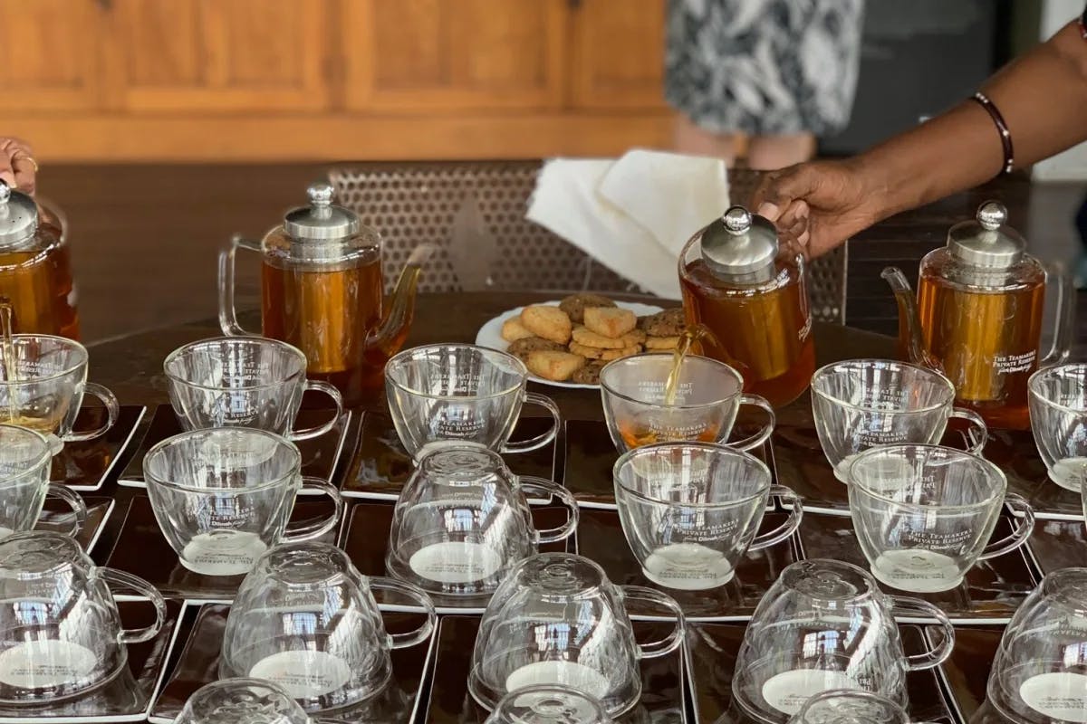 empty glass tea cups covering a table while someone is about to serve the tea. 