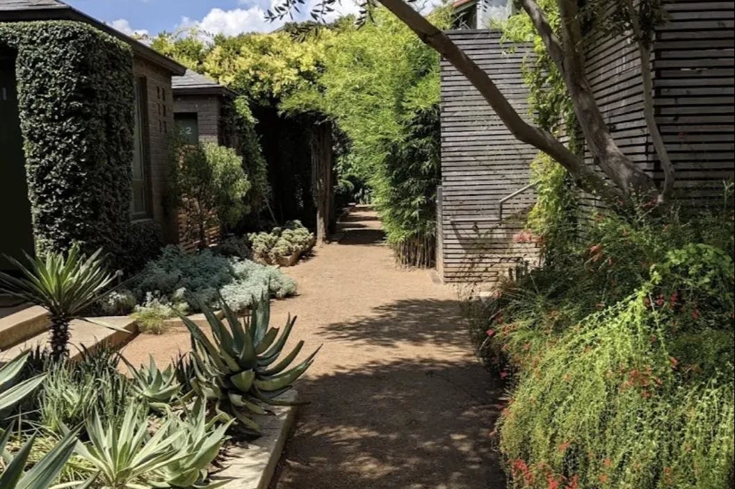 An outdoor garden during daytime