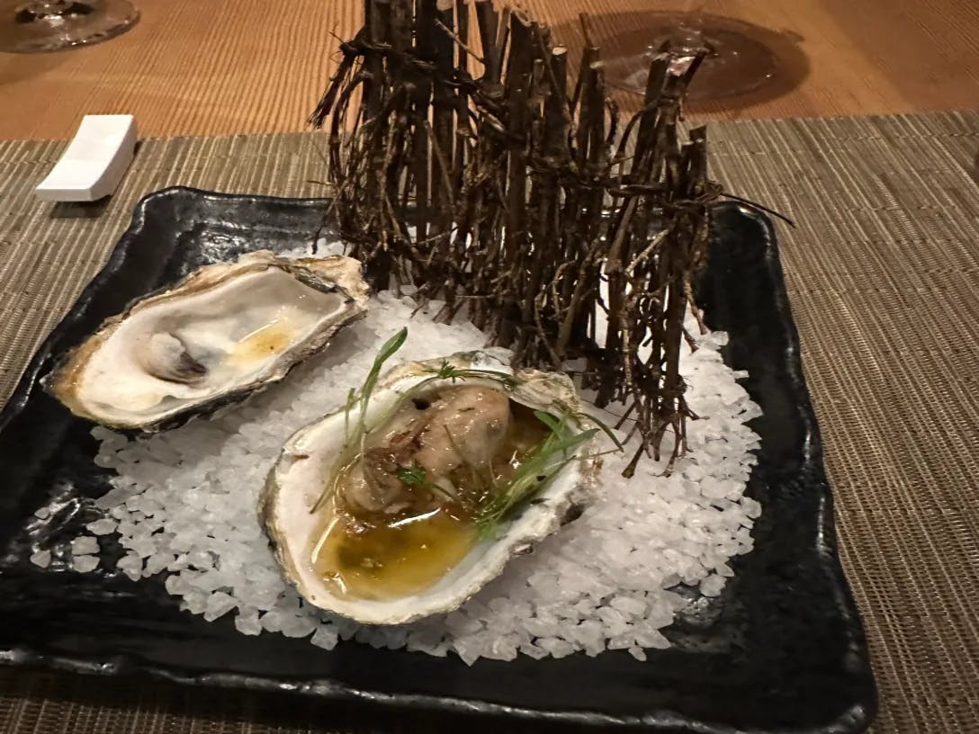 The image features a plate of oysters garnished with seaweed and herbs, served on a black plate.