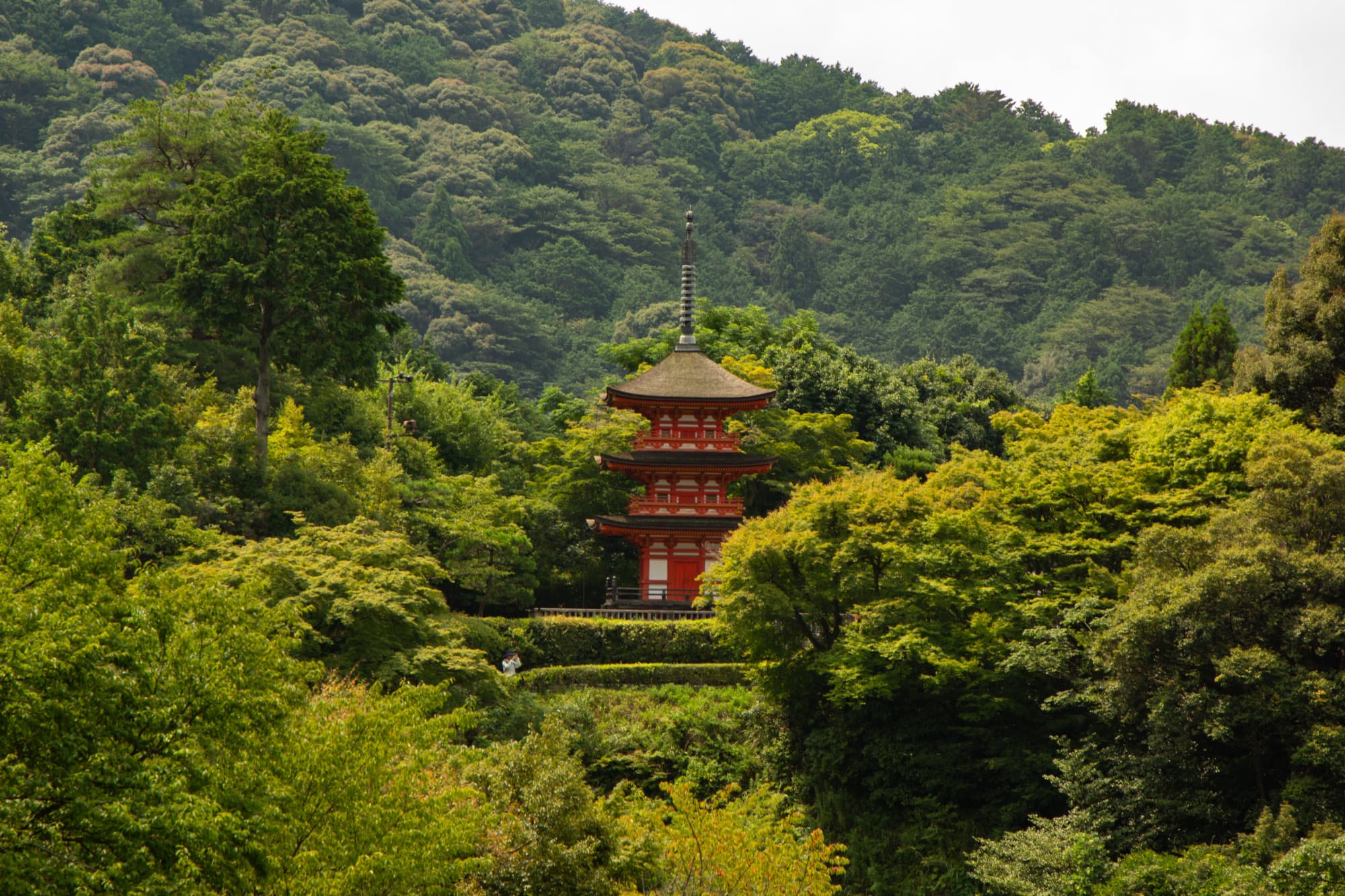 Japanese building in the middle of trees and mountains.