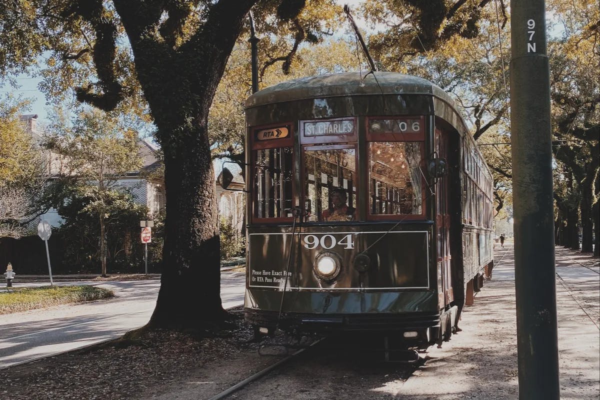 tram-near-trees-new-orleans-travel-guide