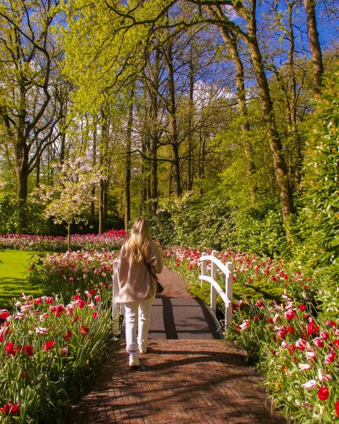 Beautiful view of Hannah walking down a path lined with red and pink flowers on a sunny day