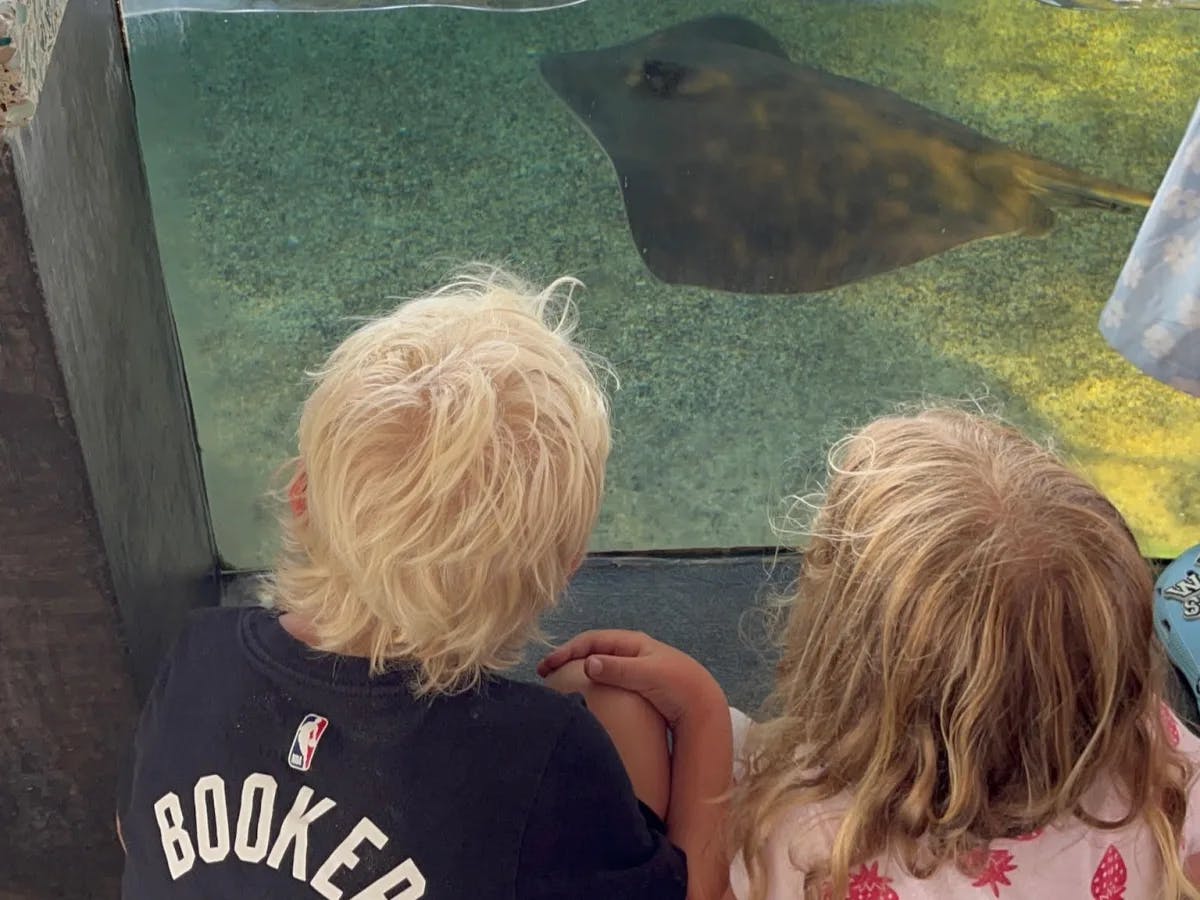 Kids in an aquarium watching fish. 