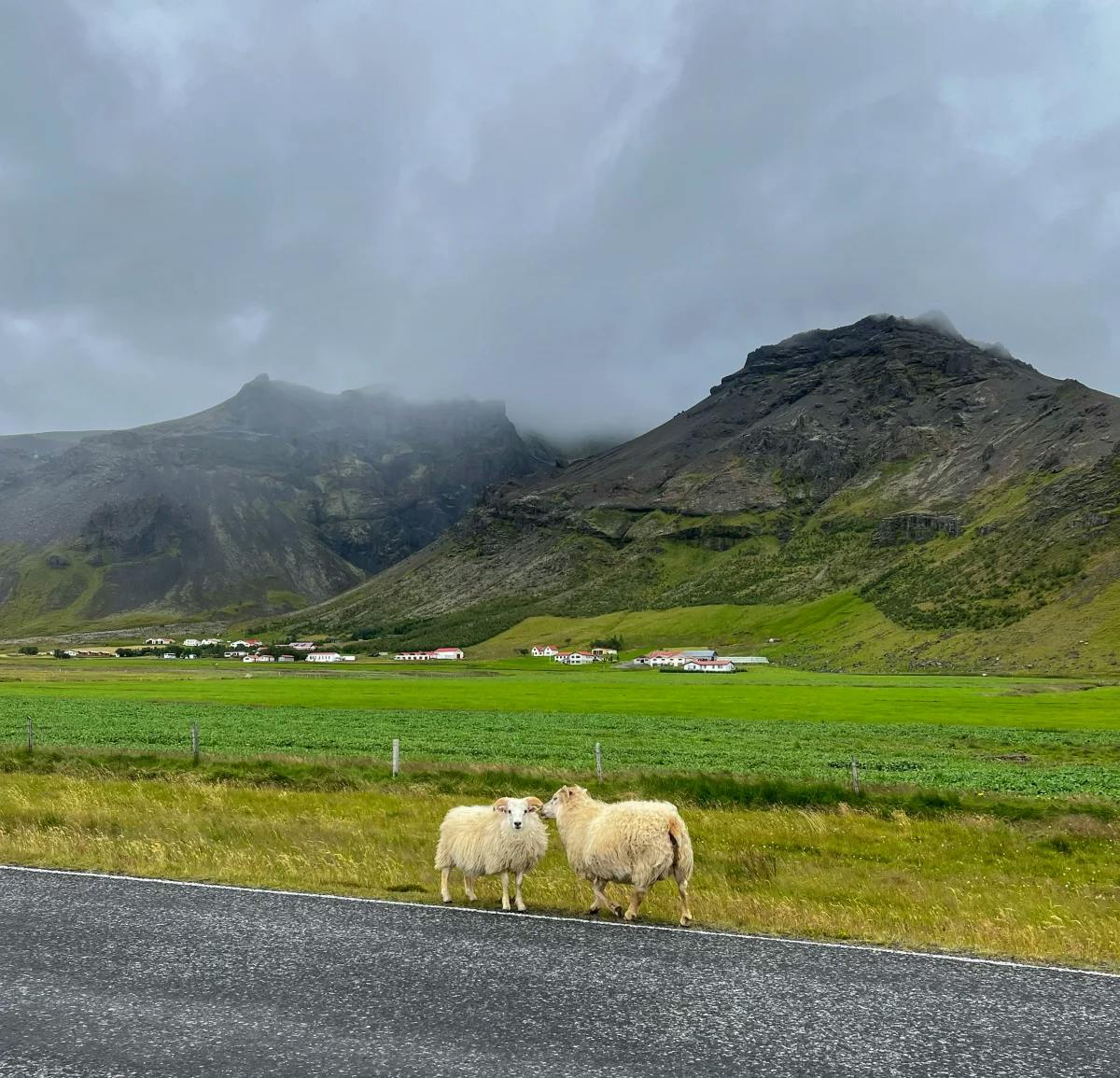 green valley with mountains