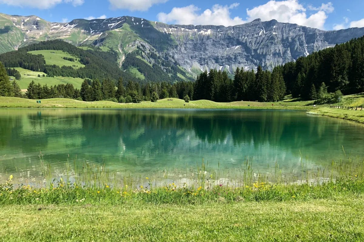 green meadows and a blue lake with a mountain in the distance and blue skies