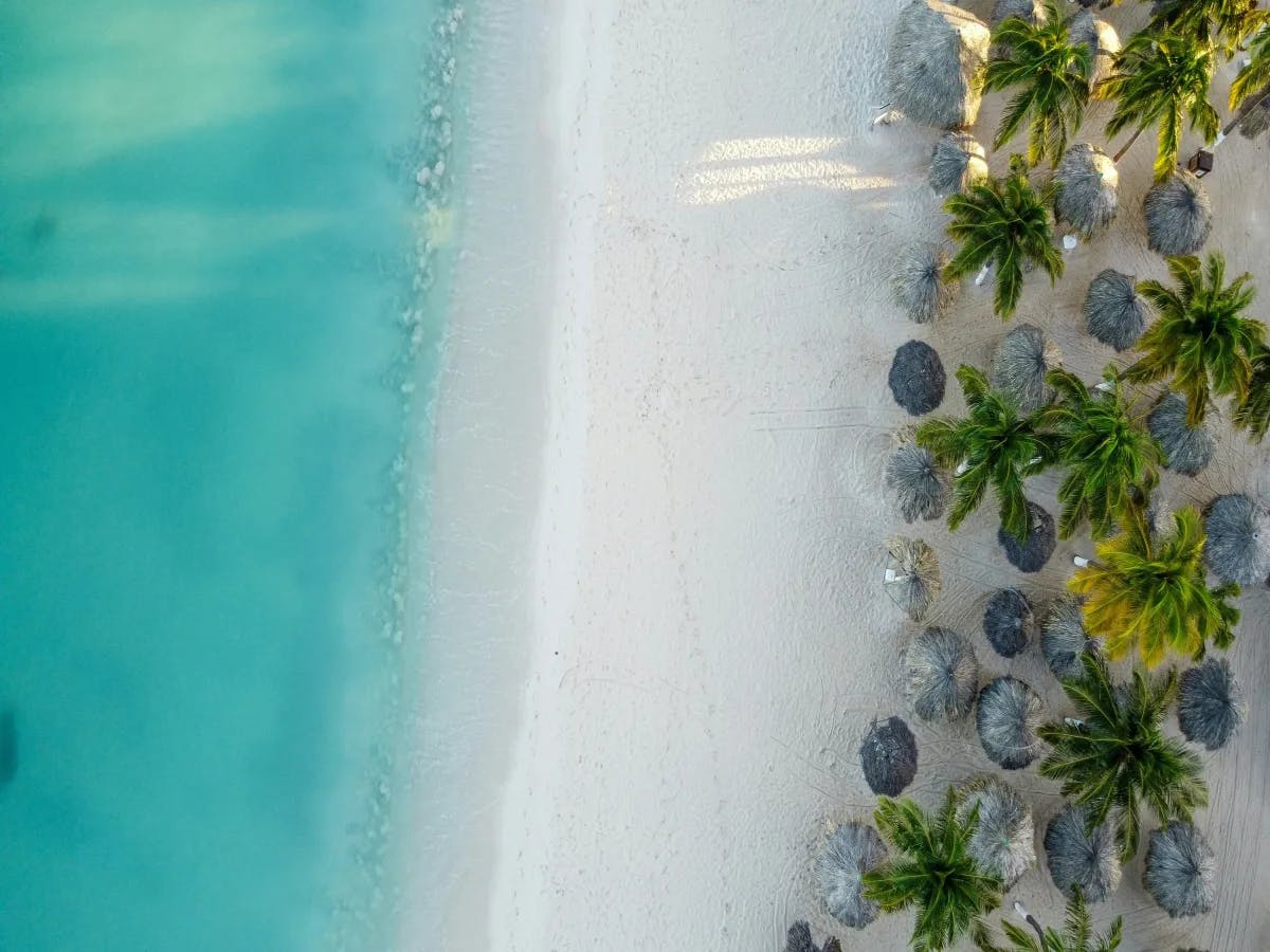 A serene tropical beach with clear blue waters and lush palm trees, viewed from an aerial perspective.