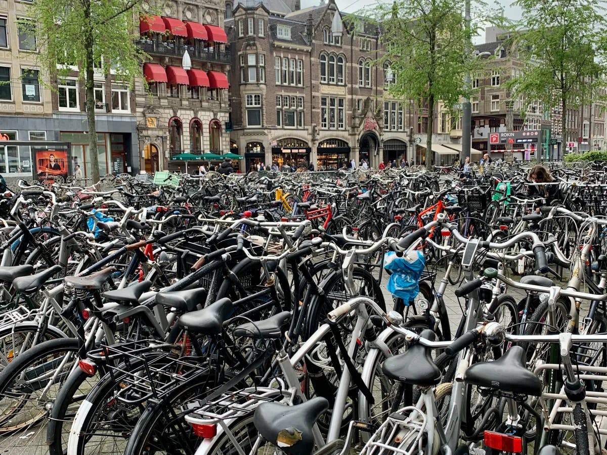 Cycles in Amsterdam