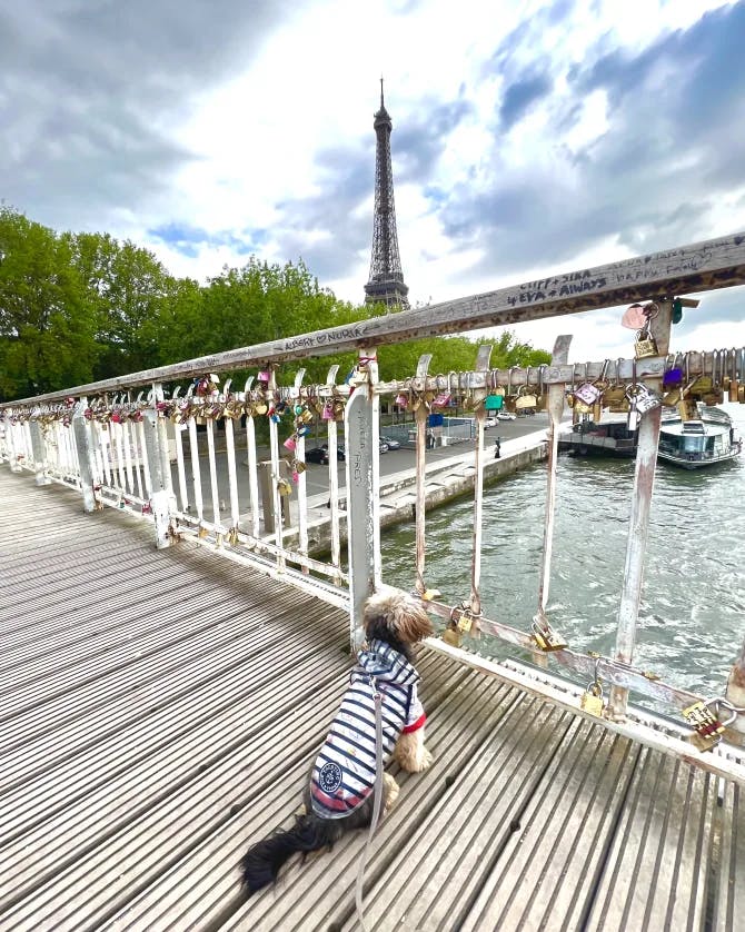 Beautiful view of Eiffle tower from bridge