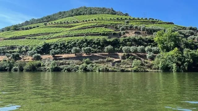 Douro Valley with body of water and a hill side covered in greenery. 