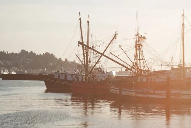 a film photo of wooden fishing boats parked in a harbor at dusk