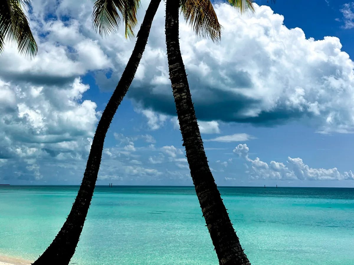 Oceanview from the beach at Albany Resort