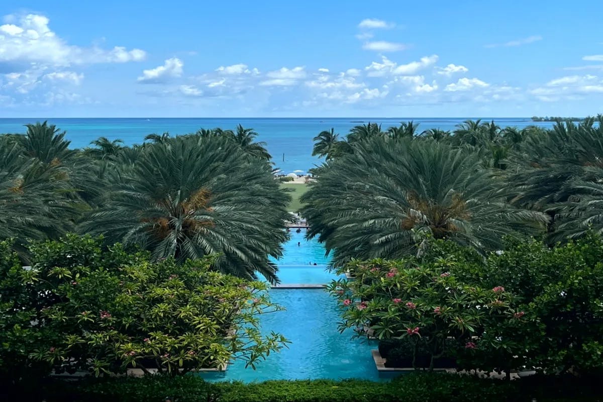 An aerial view of the water running between green palm trees during daytime.