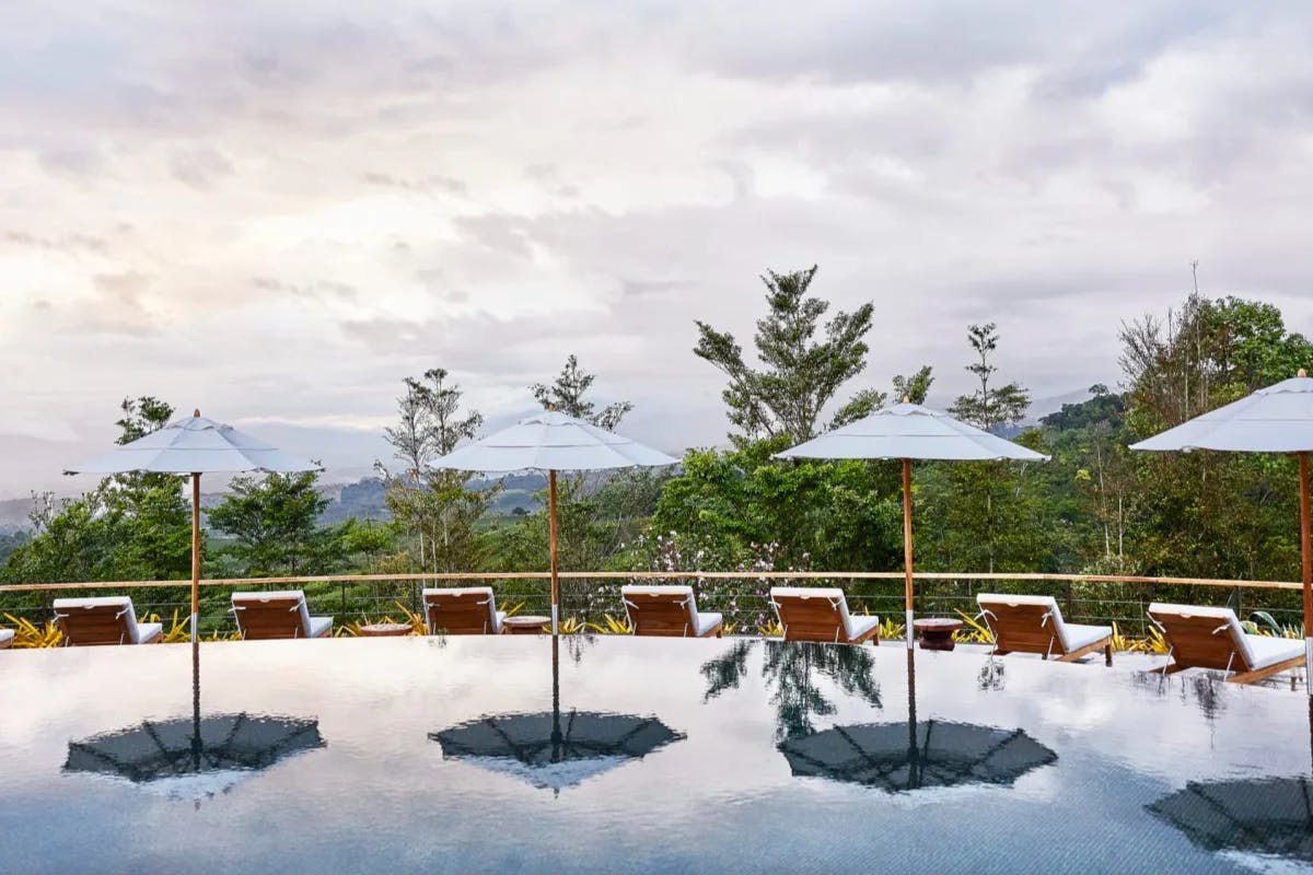 An infinity pool leads up to a deck with loungers overlooking the Costa Rican jungle