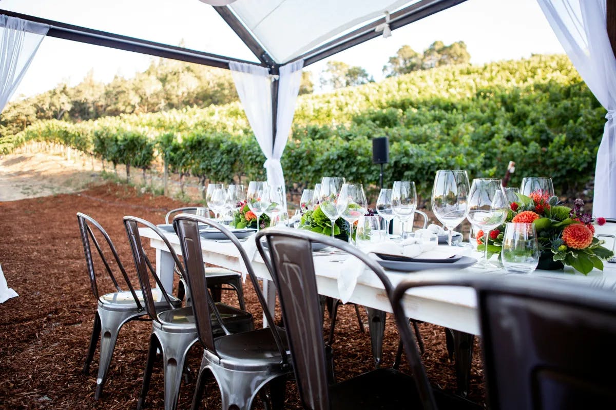 An outdoor table setting with wine glasses in a wine yard during daytime.