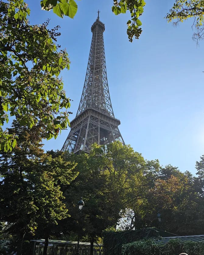 Eiffel Tower view