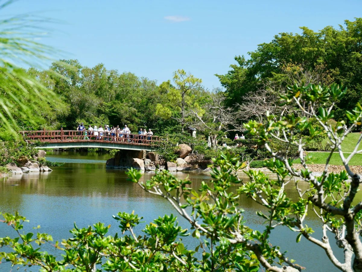 A small body of water surrounded by trees during the daytime