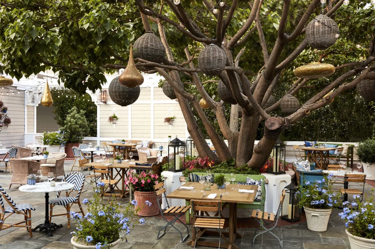 an outdoor restaurant centered on a big tree with wooden lanterns