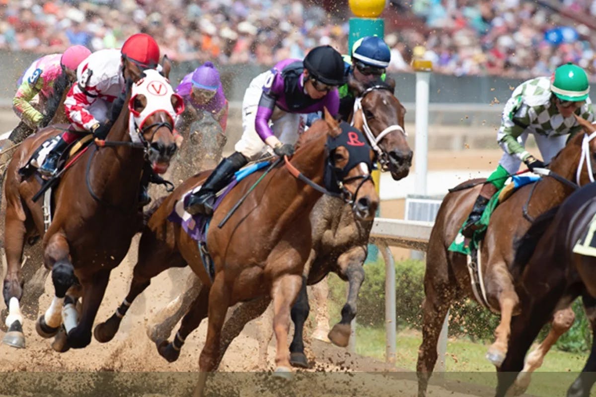 Check out Oaklawn Horse Races