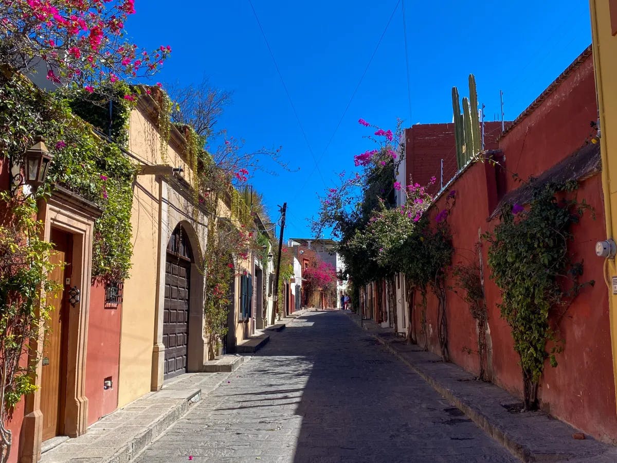 A street surrounded by yellow and red colorful buildings aligned with green vines, pink flowers and the blue sky in the background.