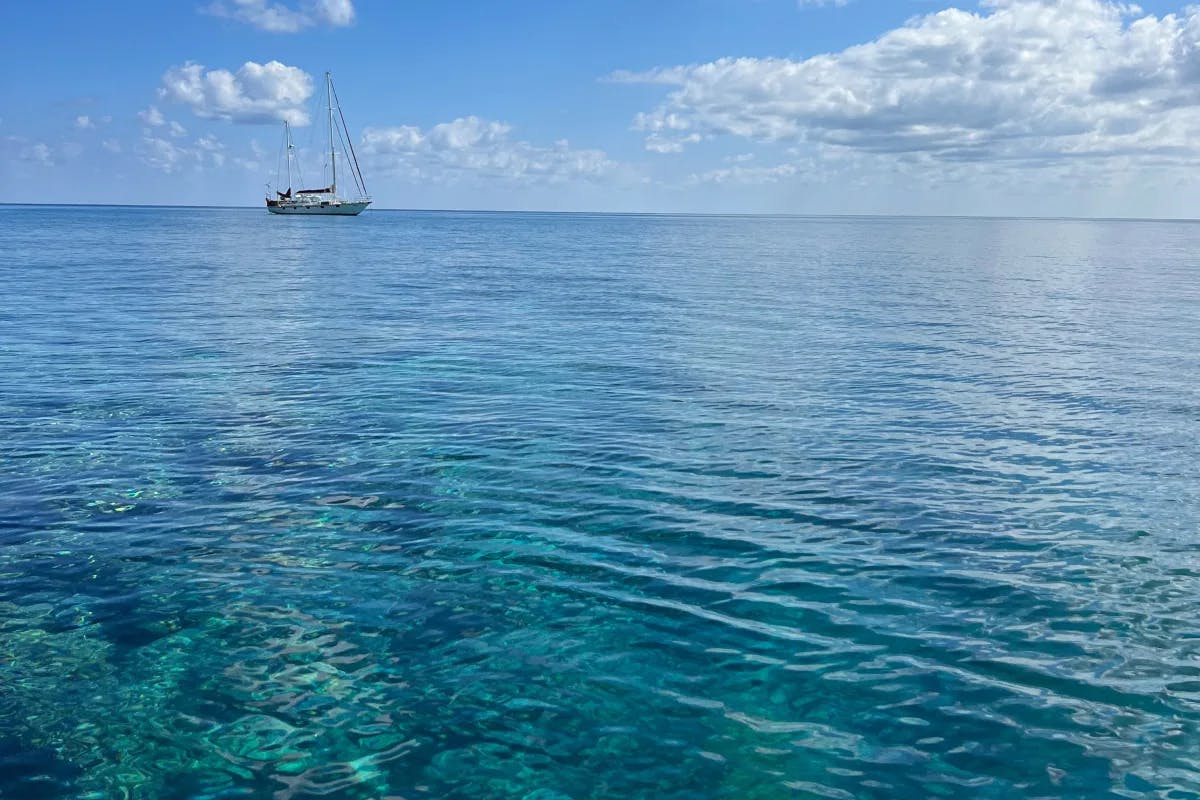 Crystal clear, turquoise waters with a sailboat sailing in the distance on a sunny day. 