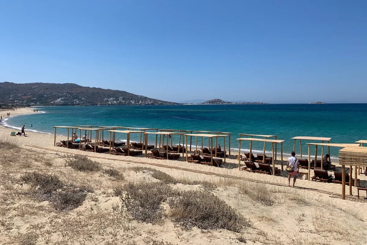 A beach with vegetation and shade canopies.