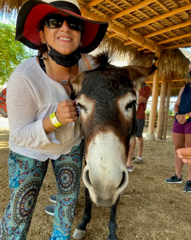Travel advisor Lisa petting a brown and white donkey
